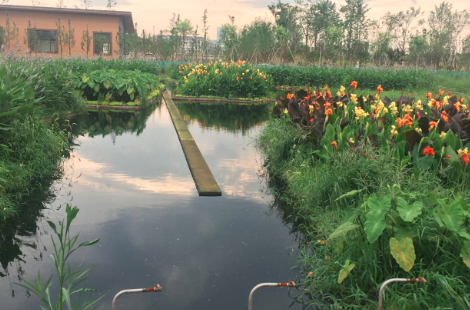 自調(diào)節(jié)循環(huán)凈化平臺水質(zhì)凈化的原理